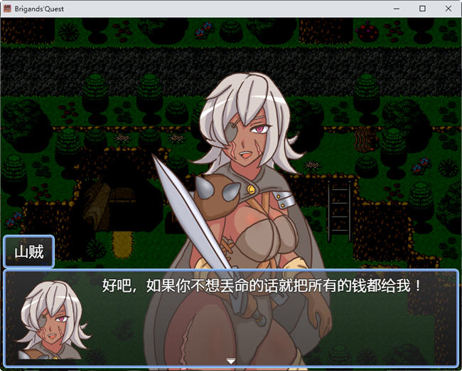 图片[3]-山贼(Brigands Quest) ver1.02 汉化版 日系RPG游戏 900M-V次元